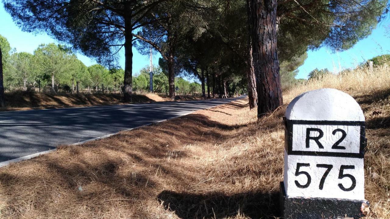 Hotel Route 2 Torrao Esterno foto
